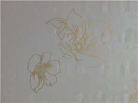 肌理壁膜—丹润